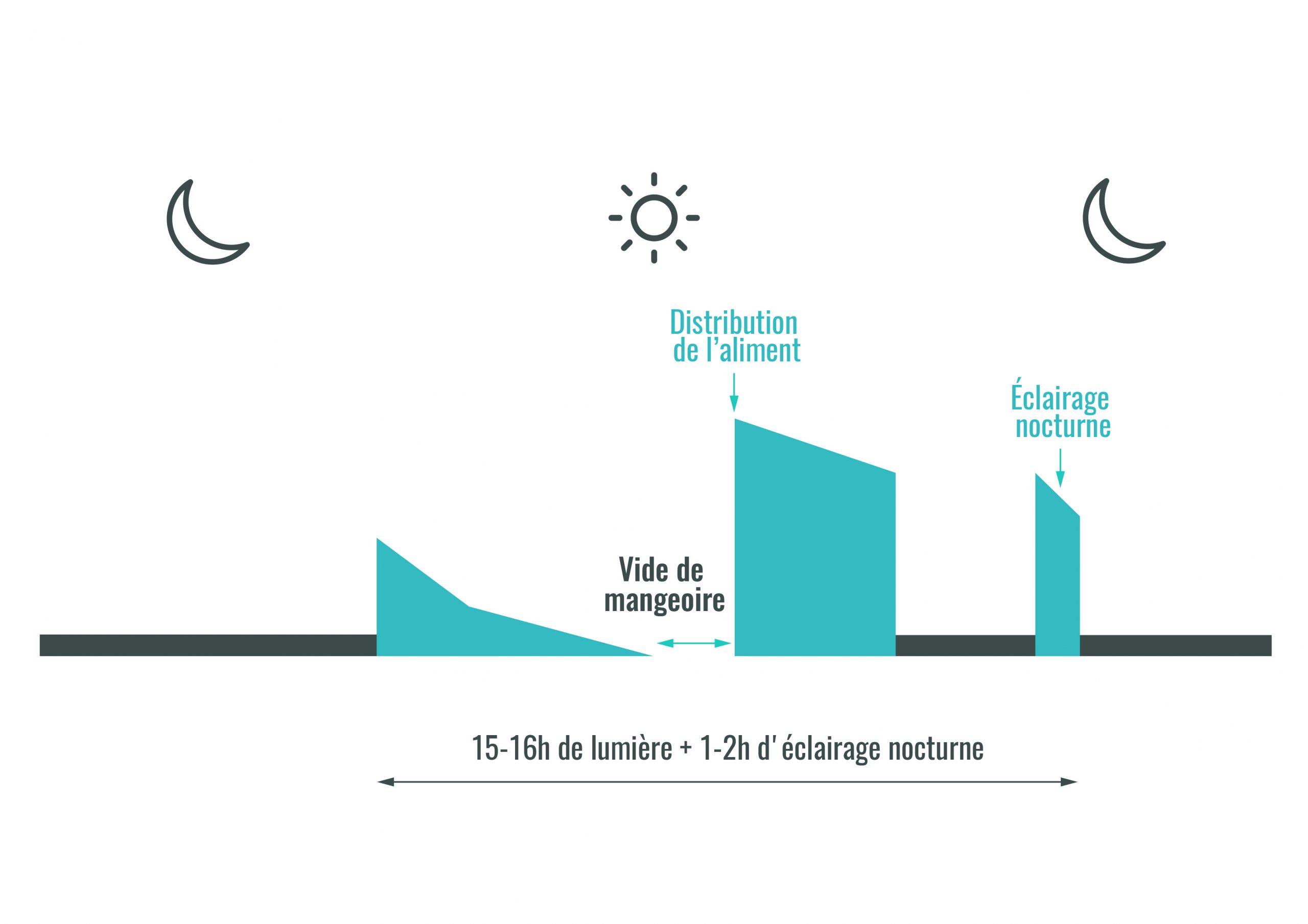 LES BASES PRATIQUES D’UNE BONNE QUALITÉ DE COQUILLE
